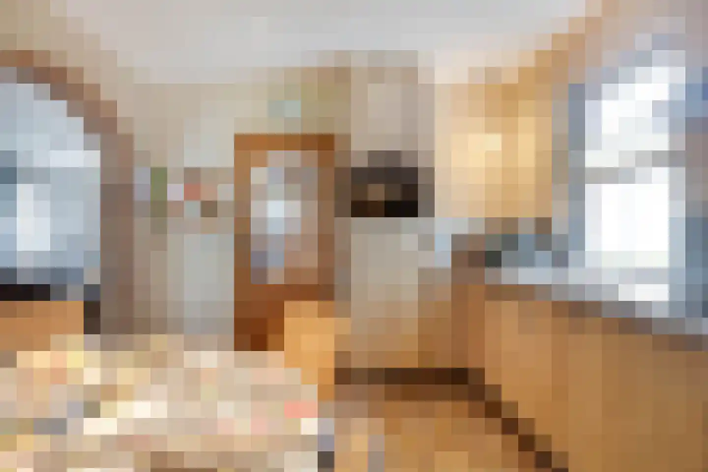 Meerser Koestraat 16 Stein thumbnail 23