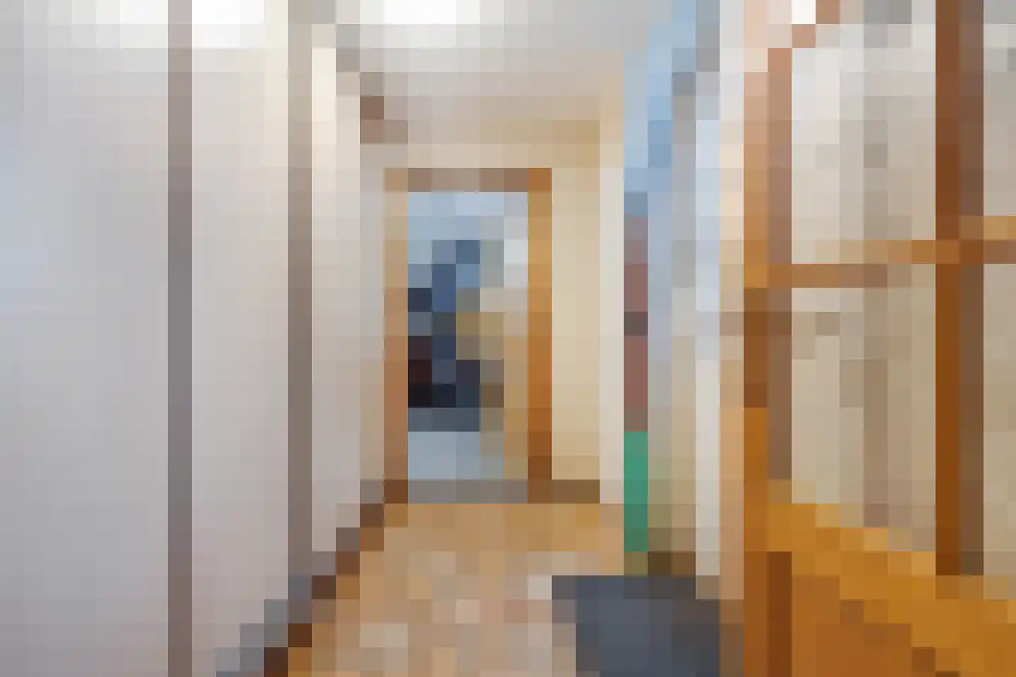 Meerser Koestraat 16 Stein thumbnail 24