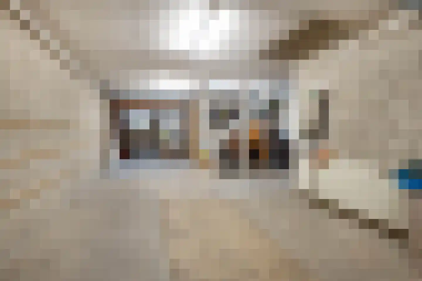 Meerser Koestraat 16 Stein thumbnail 26