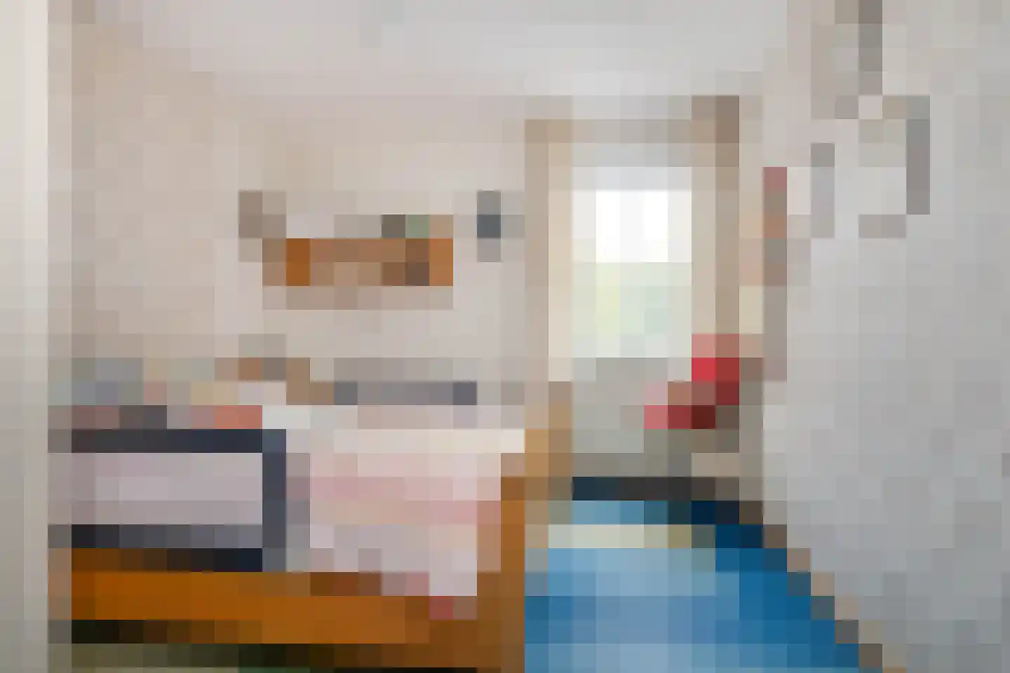 Meerser Koestraat 16 Stein thumbnail 34