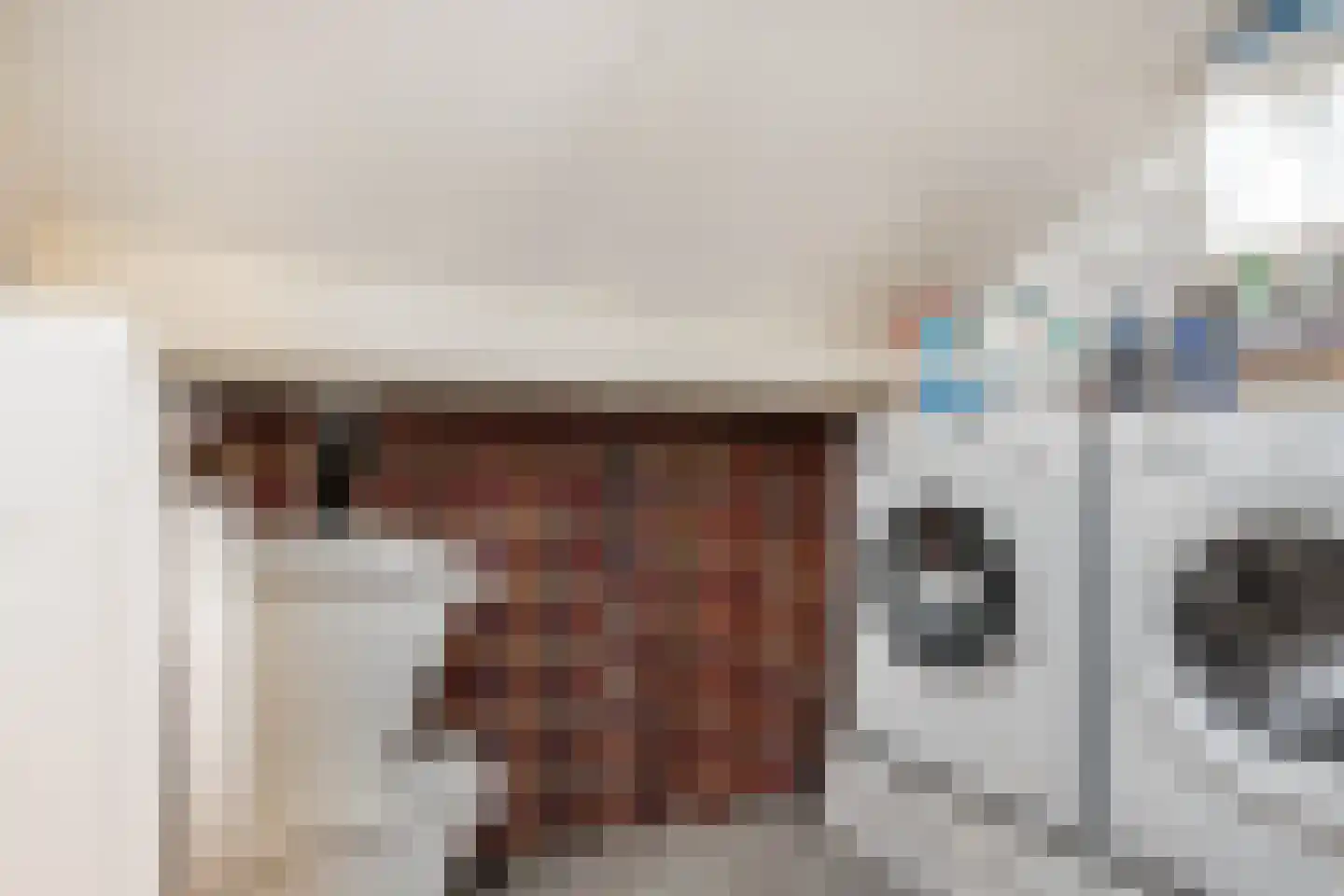 Meerser Koestraat 16 Stein thumbnail 44
