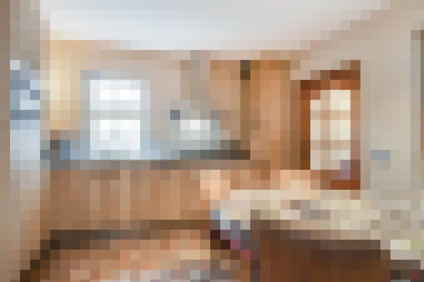 Meerser Koestraat 16 Stein thumbnail 5