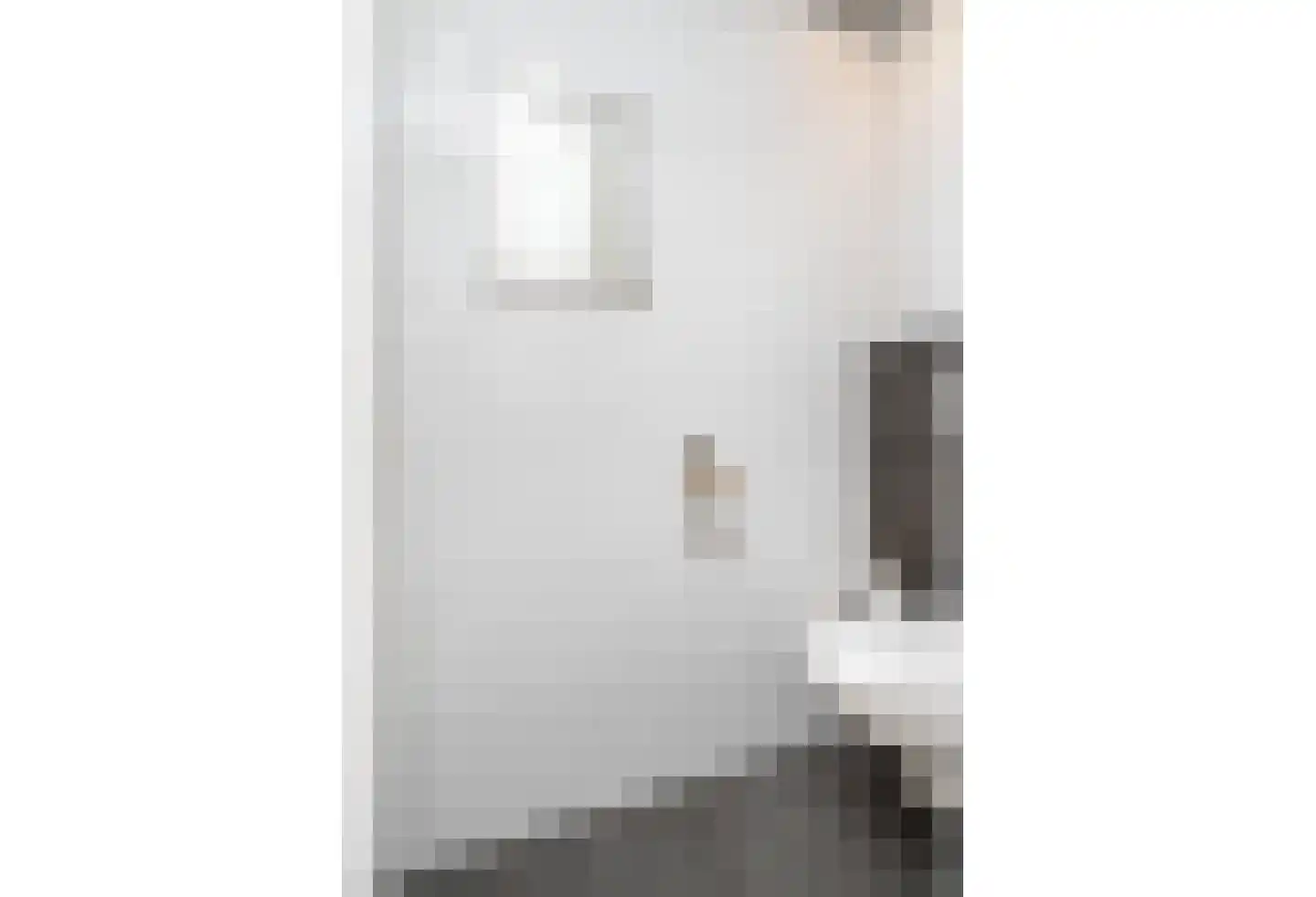 Meerser Koestraat 16 Stein thumbnail 52