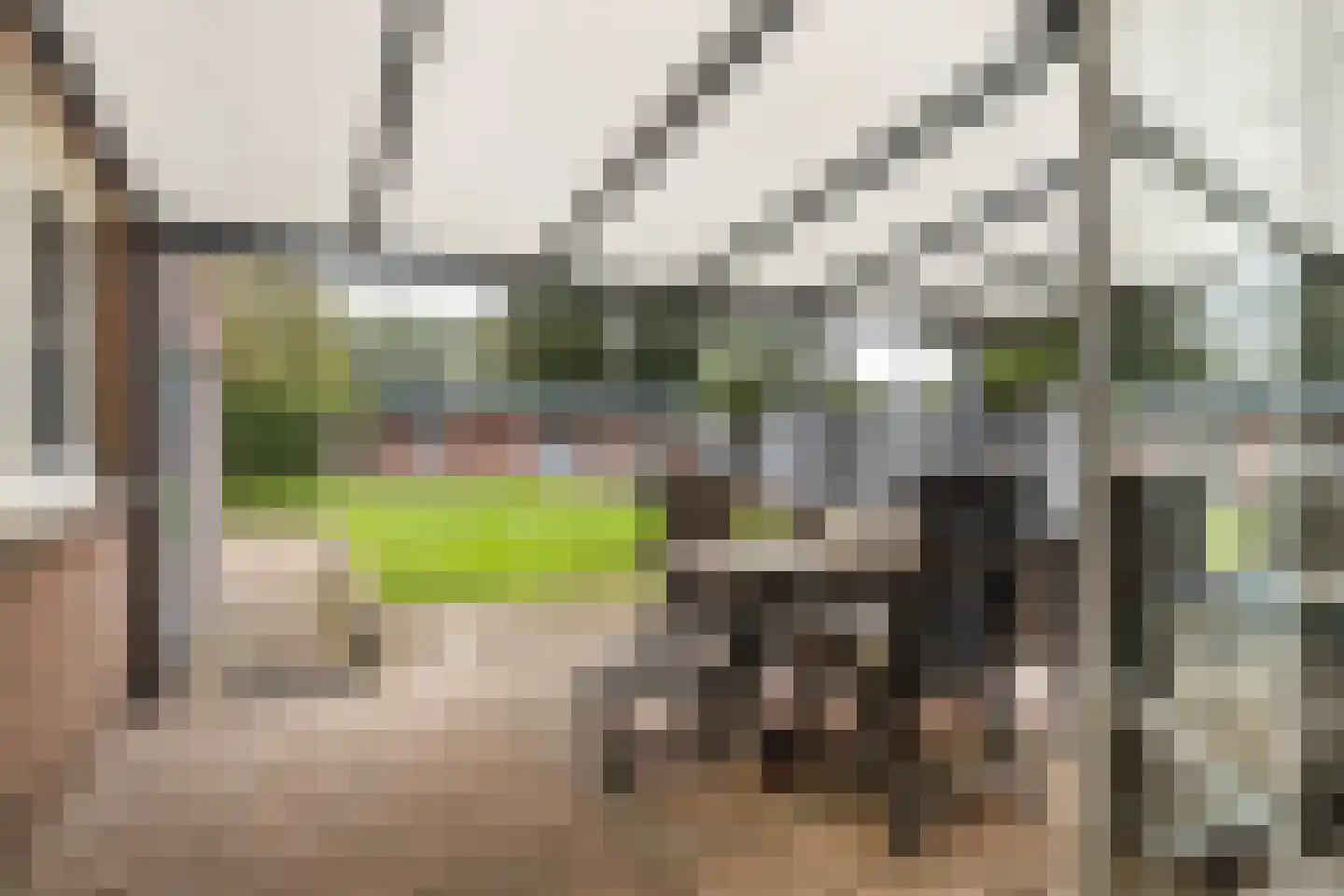 Meerser Koestraat 16 Stein thumbnail 56
