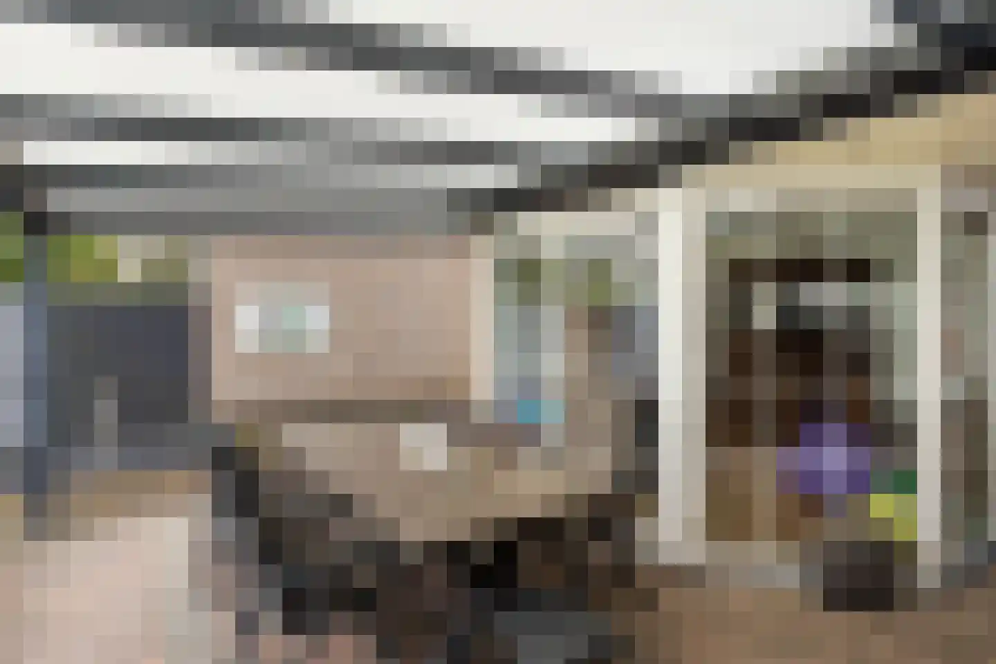 Meerser Koestraat 16 Stein thumbnail 57