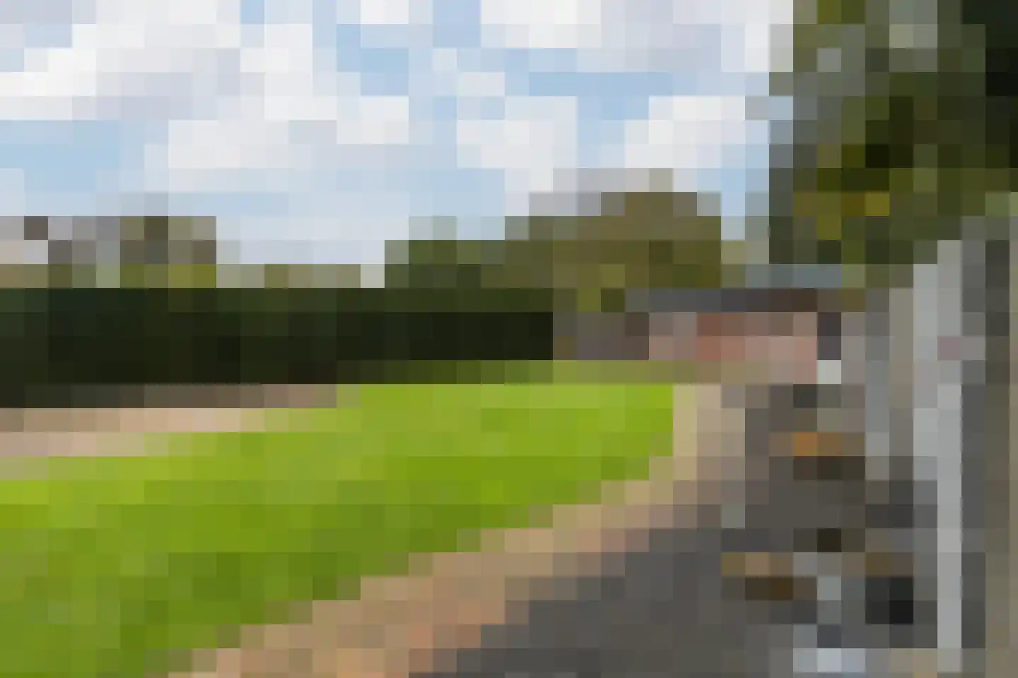 Meerser Koestraat 16 Stein thumbnail 59