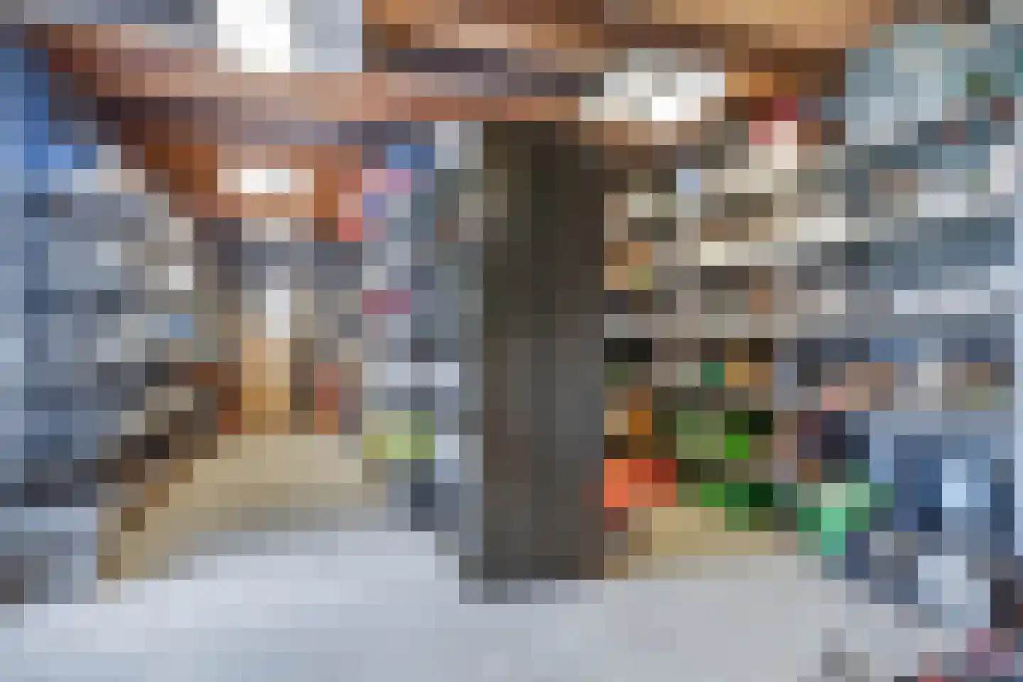 Meerser Koestraat 16 Stein thumbnail 62