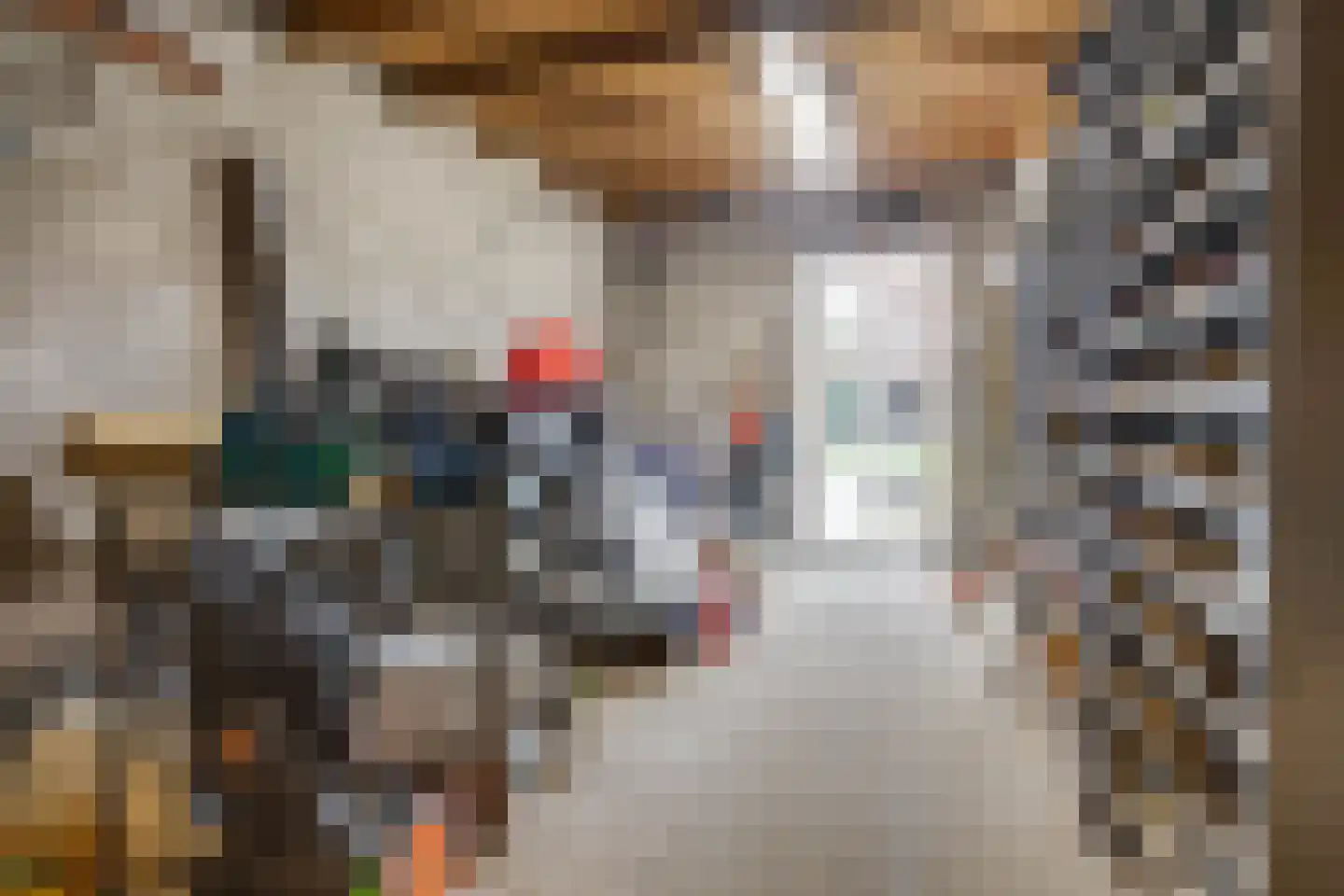 Meerser Koestraat 16 Stein thumbnail 64