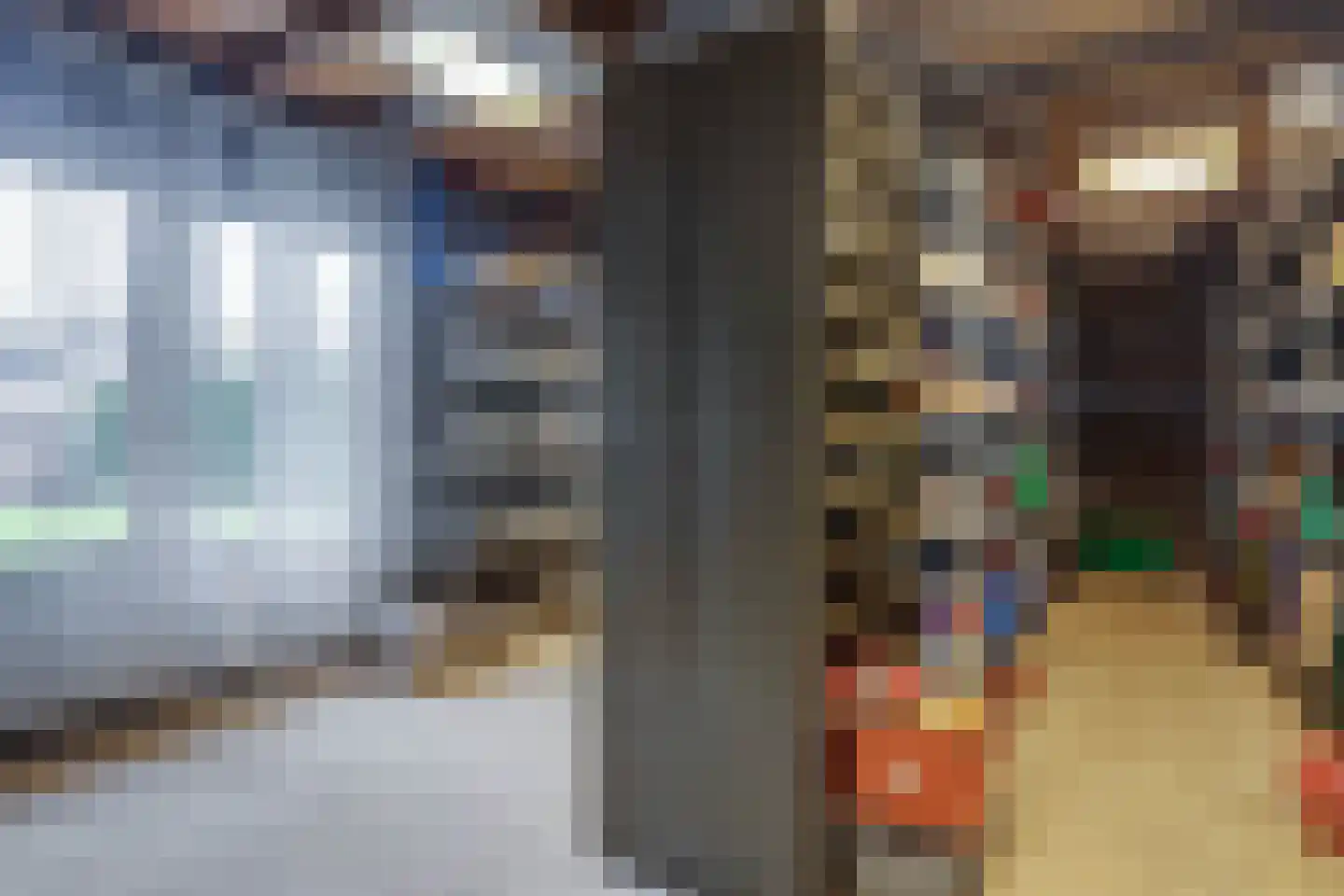 Meerser Koestraat 16 Stein thumbnail 65