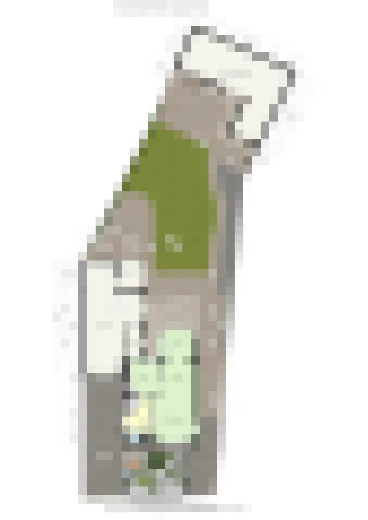 Meerser Koestraat 16 Stein thumbnail 68
