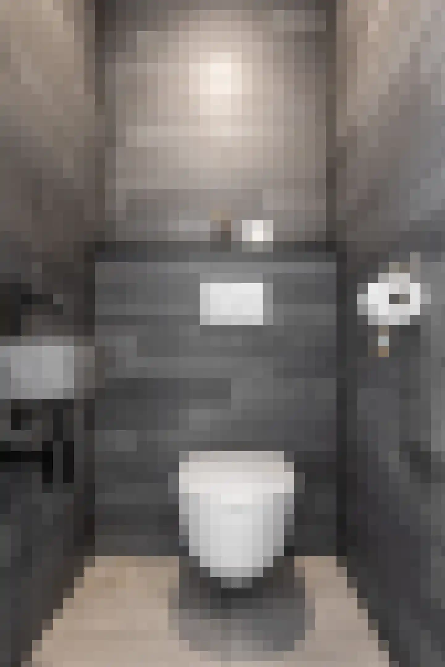 Meerser Koestraat 2 Stein thumbnail 13