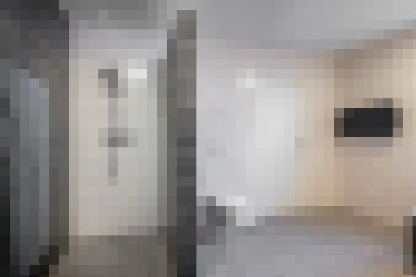 Meerser Koestraat 2 Stein thumbnail 14