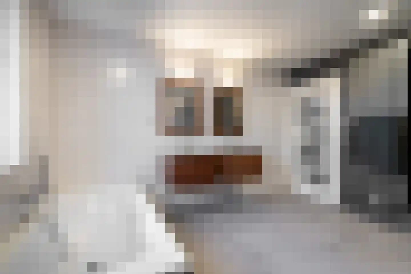 Meerser Koestraat 2 Stein thumbnail 16