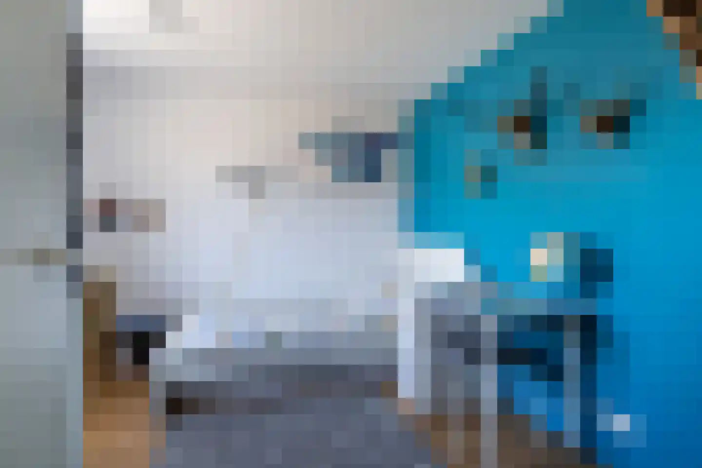 Meerser Koestraat 2 Stein thumbnail 18