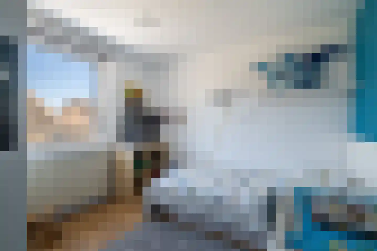 Meerser Koestraat 2 Stein thumbnail 19