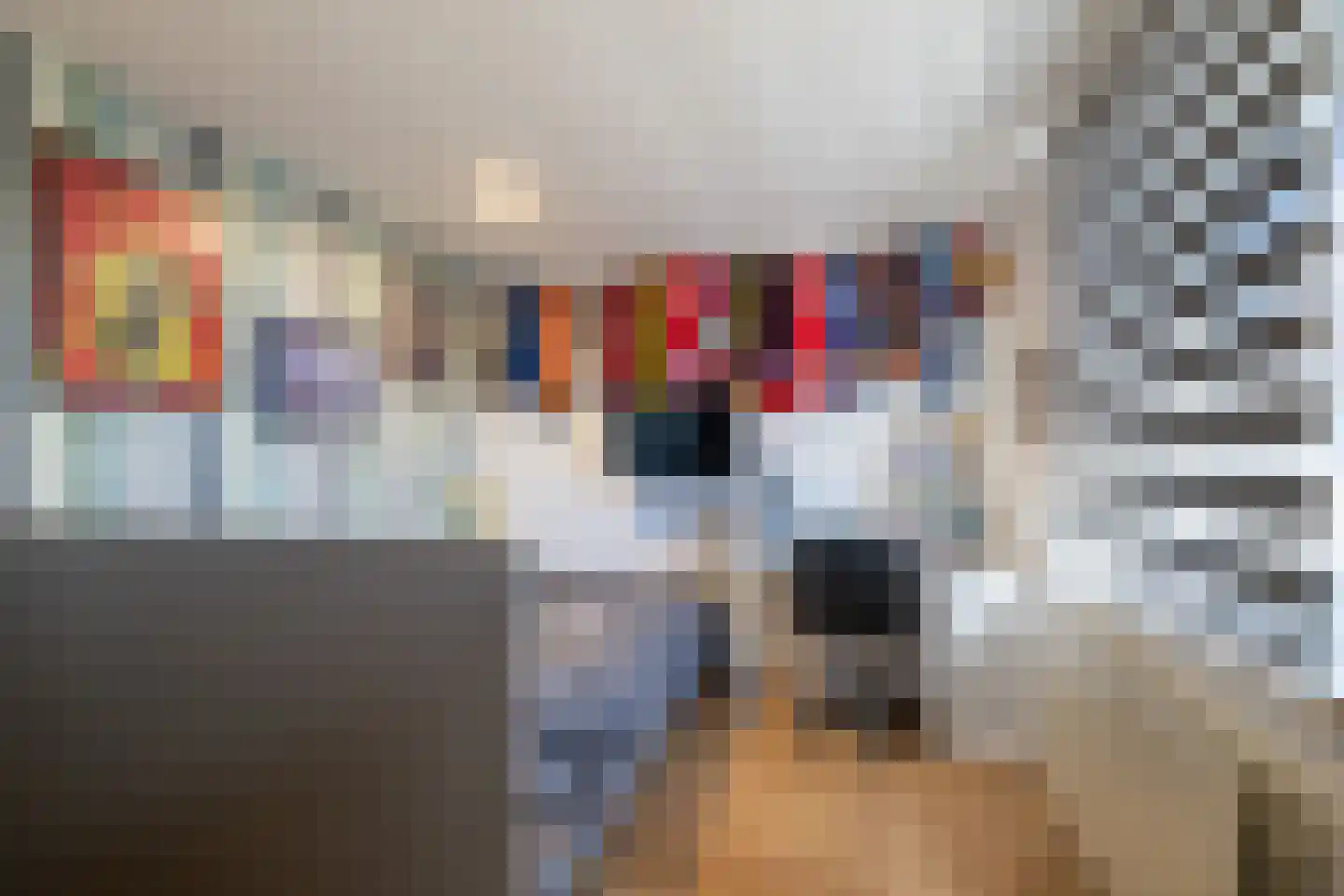 Meerser Koestraat 2 Stein thumbnail 20