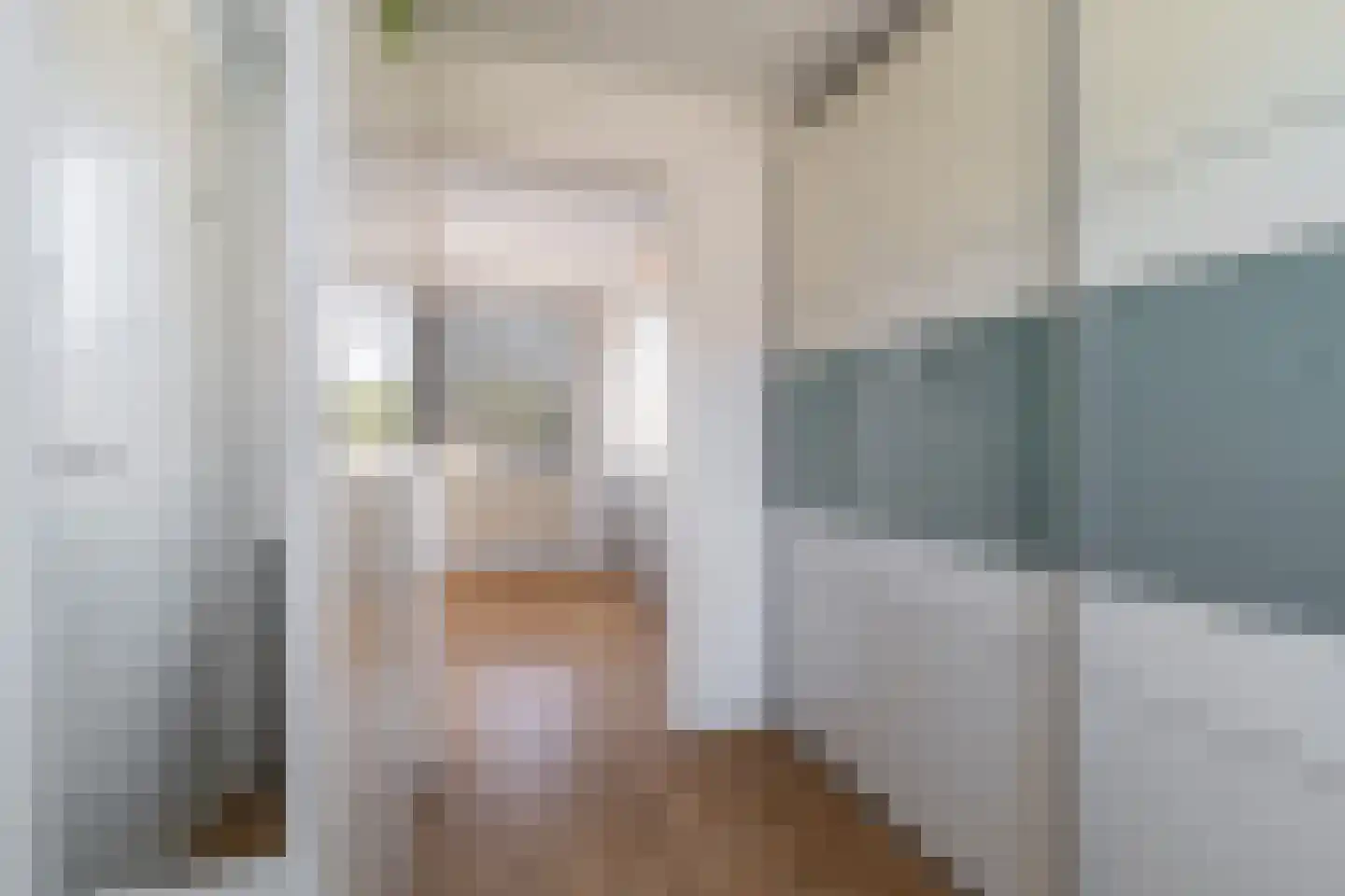Meerser Koestraat 2 Stein thumbnail 21