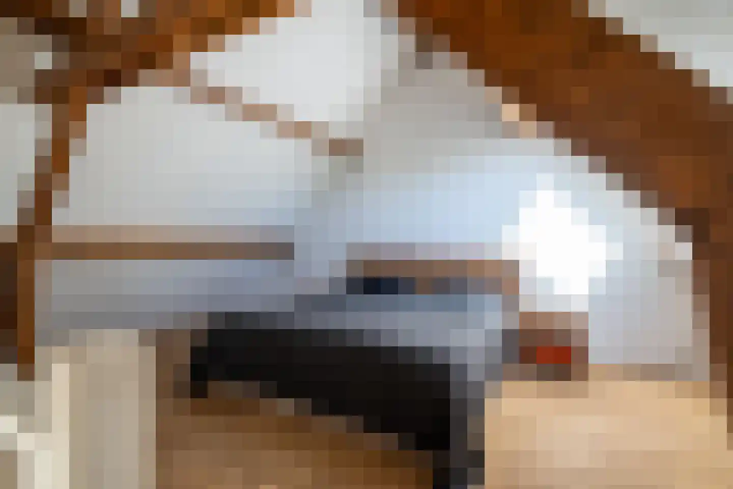 Meerser Koestraat 2 Stein thumbnail 23