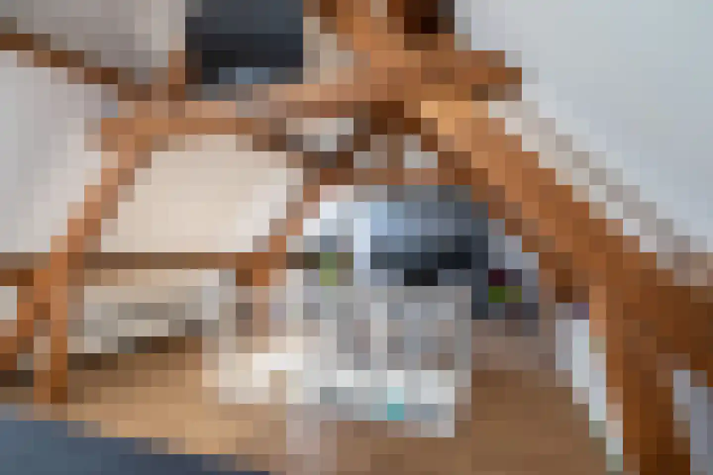 Meerser Koestraat 2 Stein thumbnail 24