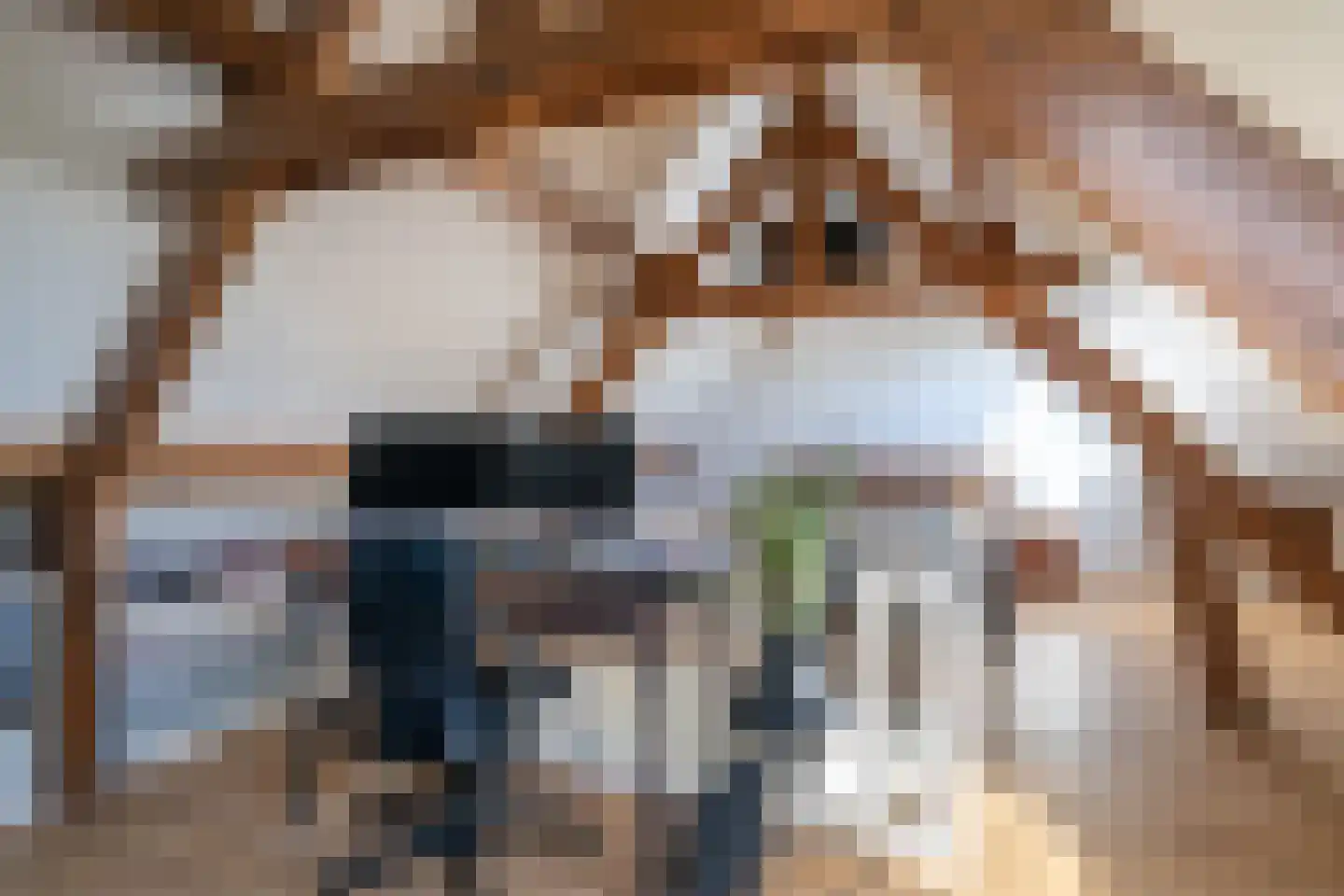 Meerser Koestraat 2 Stein thumbnail 25
