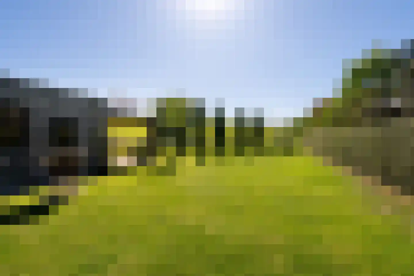 Meerser Koestraat 2 Stein thumbnail 31