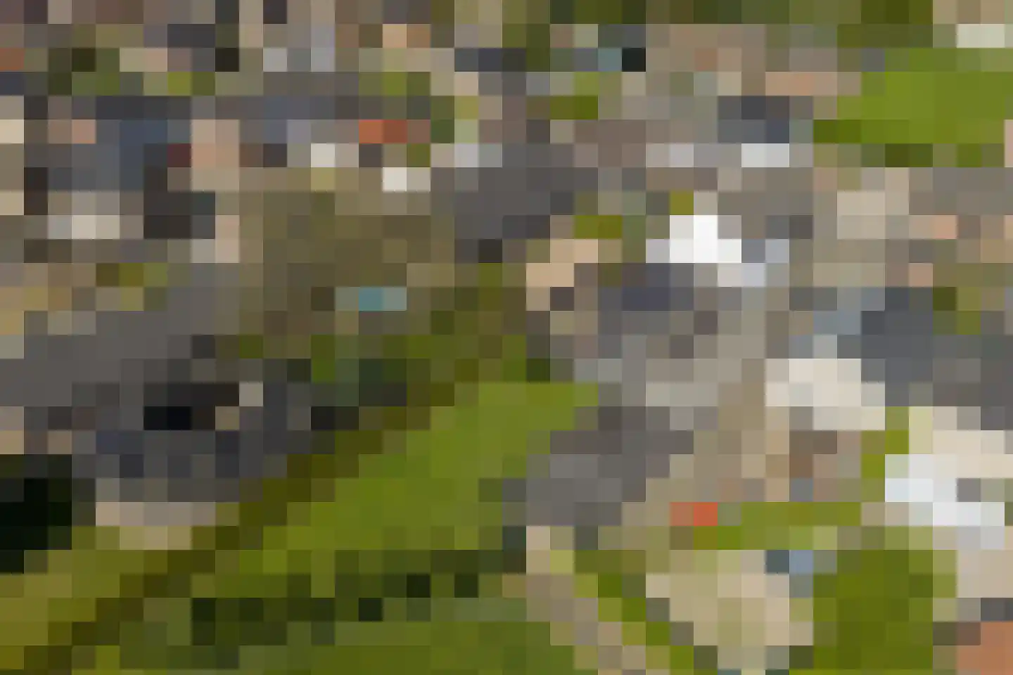 Meerser Koestraat 2 Stein thumbnail 34