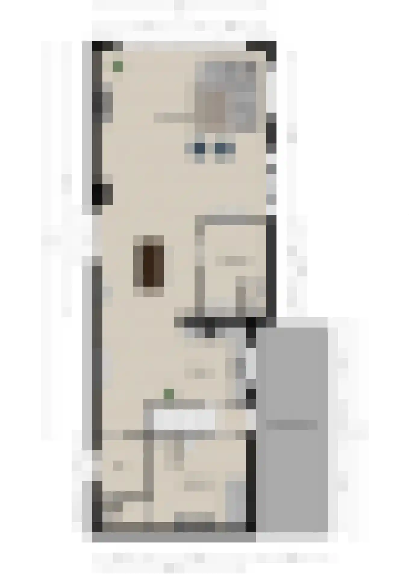 Meerser Koestraat 2 Stein thumbnail 36