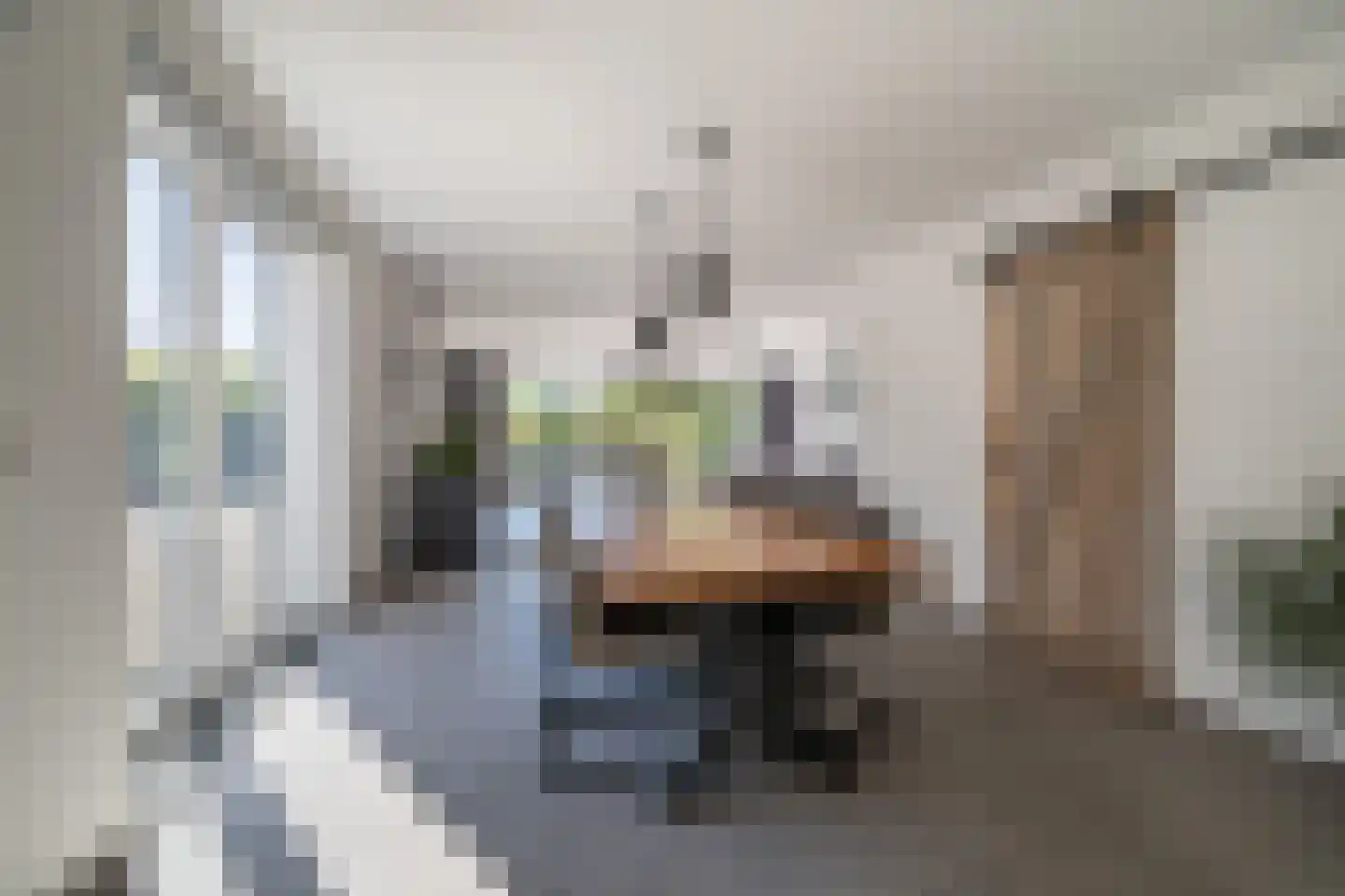 Meerser Koestraat 2 Stein thumbnail 9