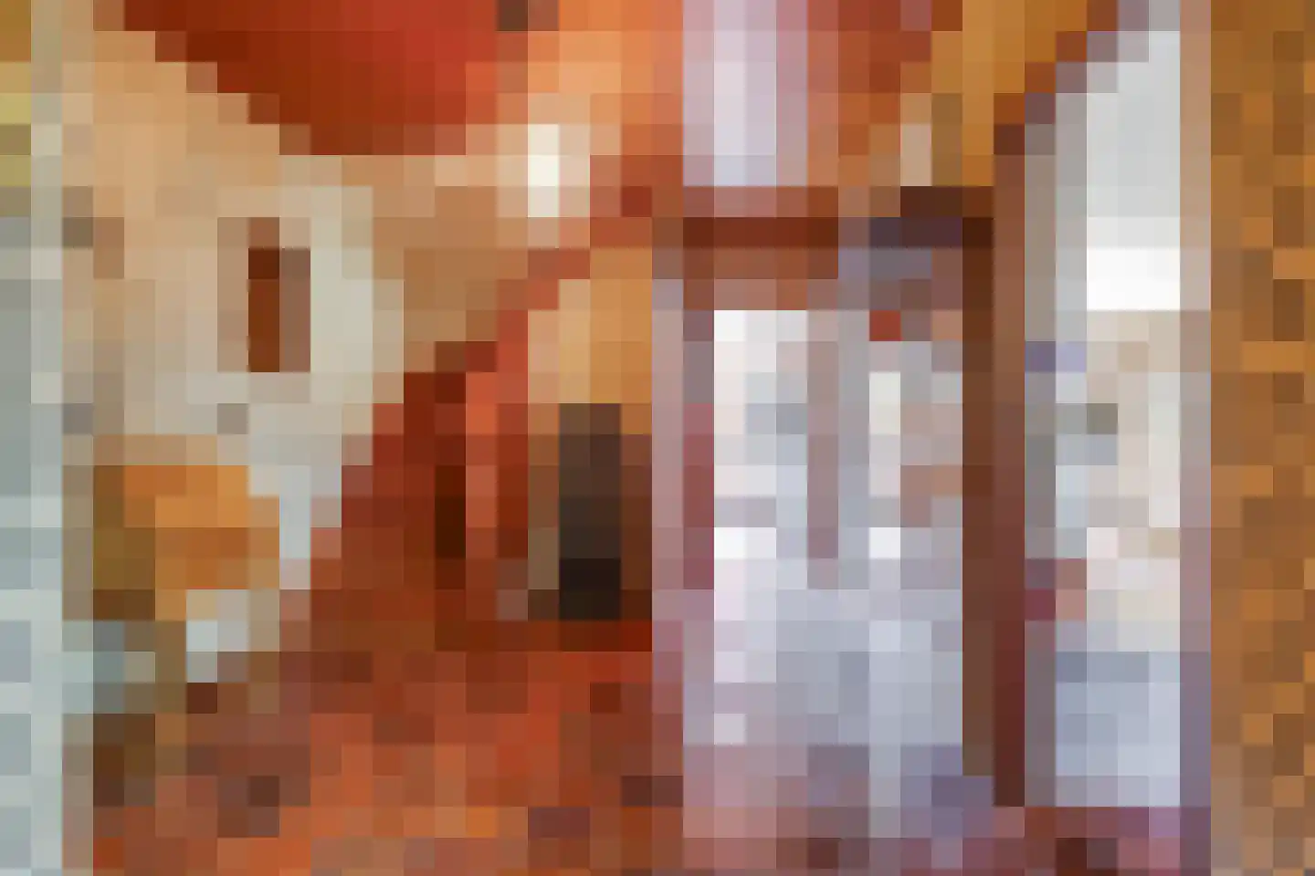 Meerser Koestraat 20 Stein thumbnail 11