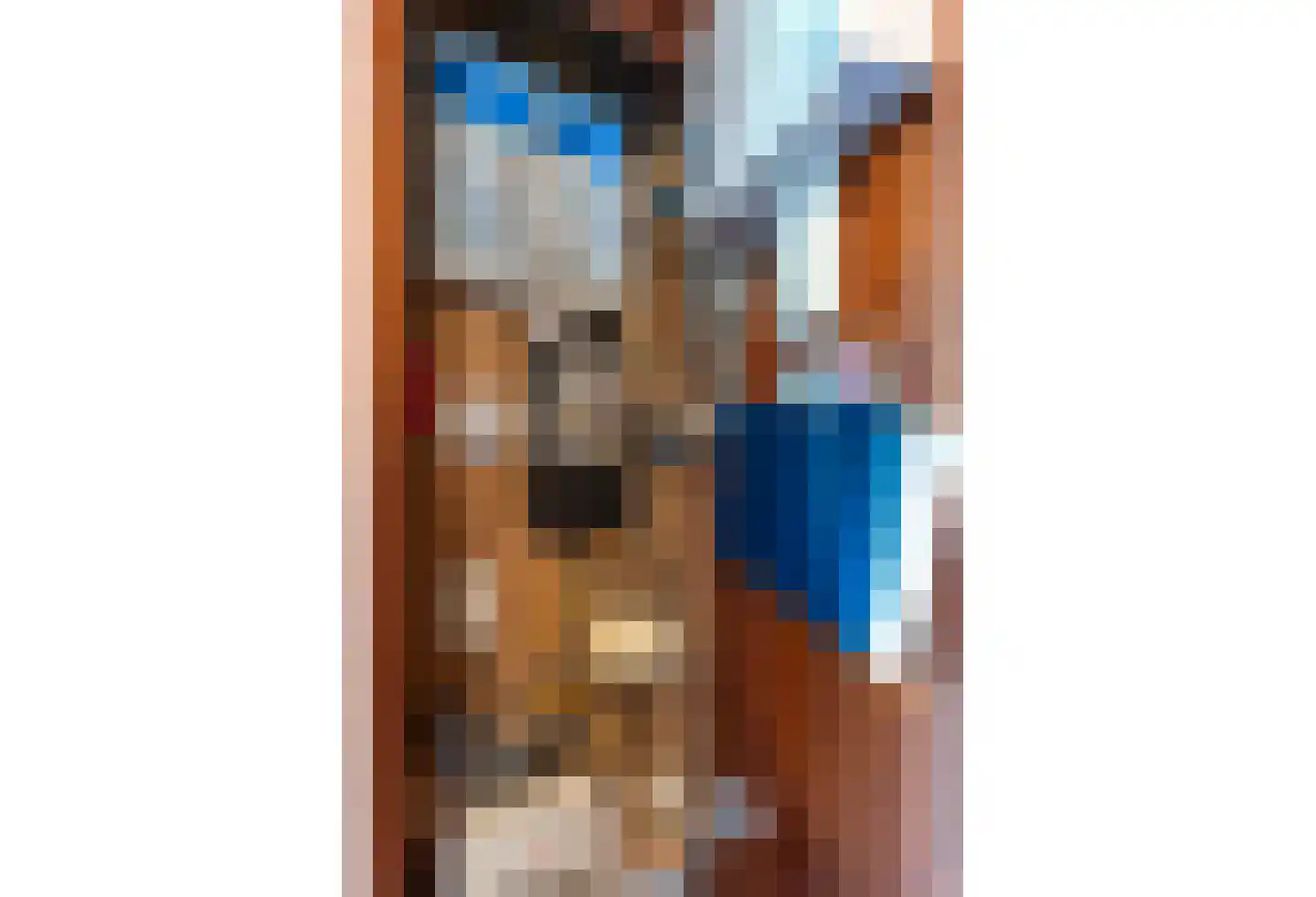 Meerser Koestraat 20 Stein thumbnail 13