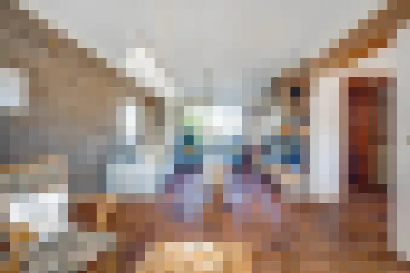 Meerser Koestraat 20 Stein thumbnail 17