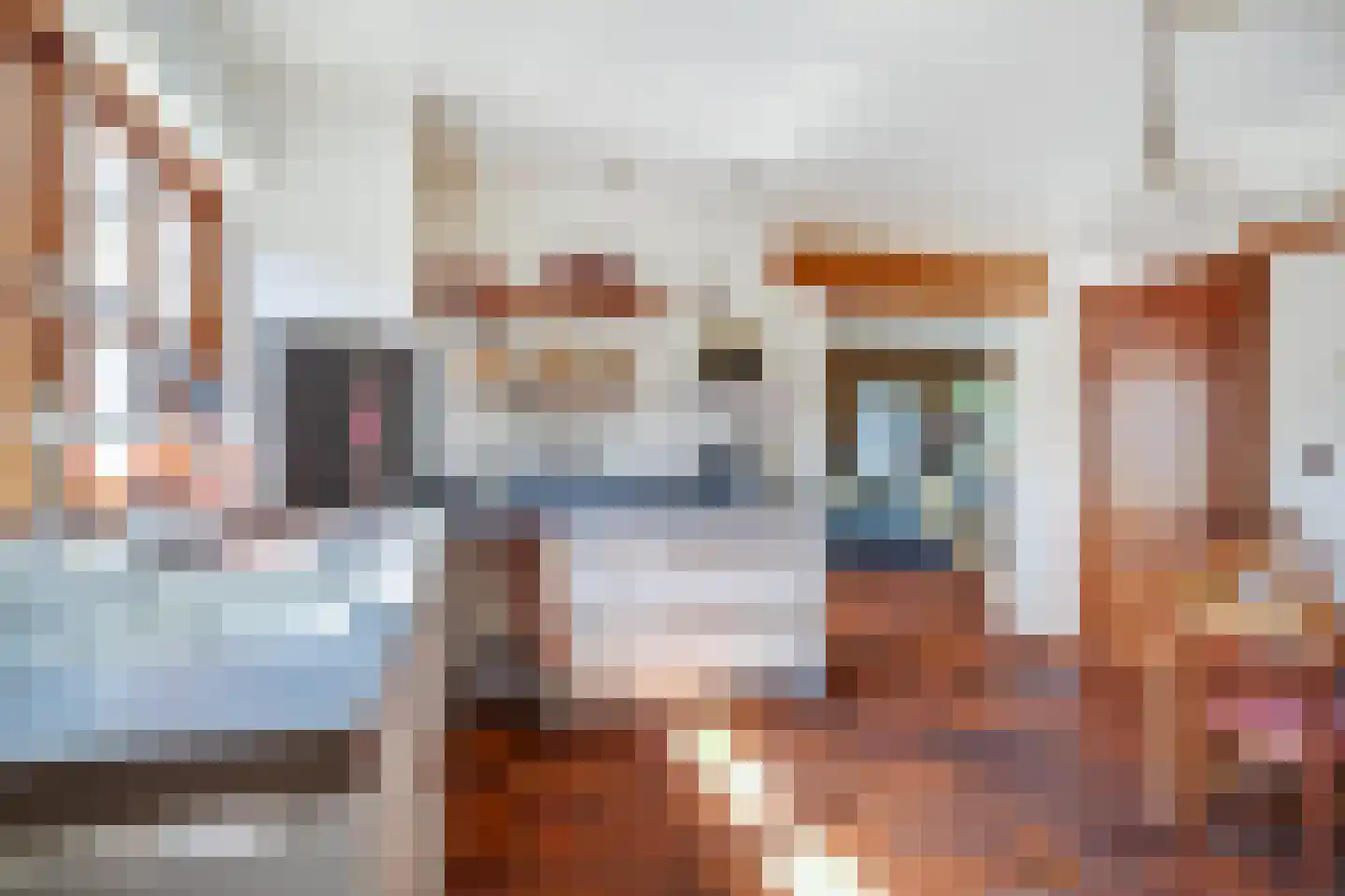 Meerser Koestraat 20 Stein thumbnail 20