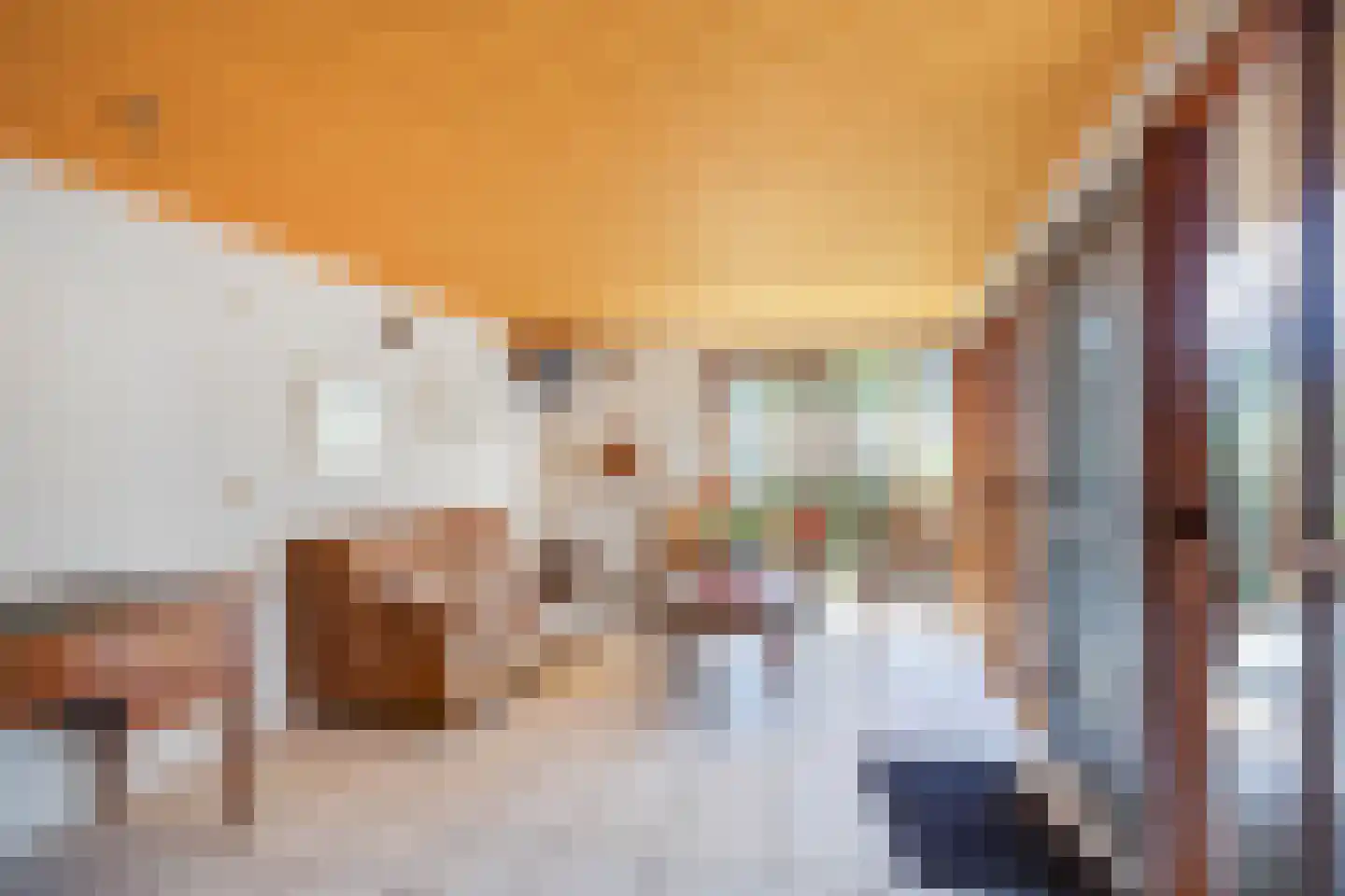 Meerser Koestraat 20 Stein thumbnail 21