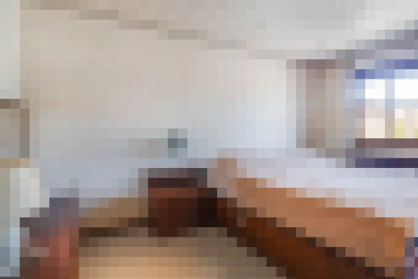 Meerser Koestraat 20 Stein thumbnail 24
