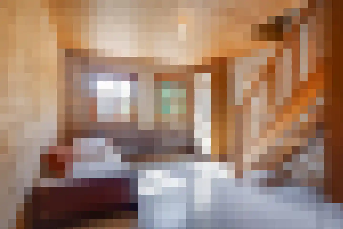 Meerser Koestraat 20 Stein thumbnail 30