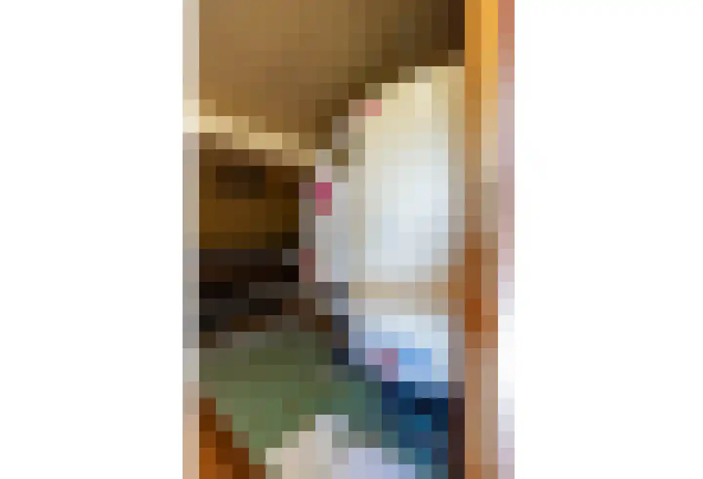 Meerser Koestraat 20 Stein thumbnail 32