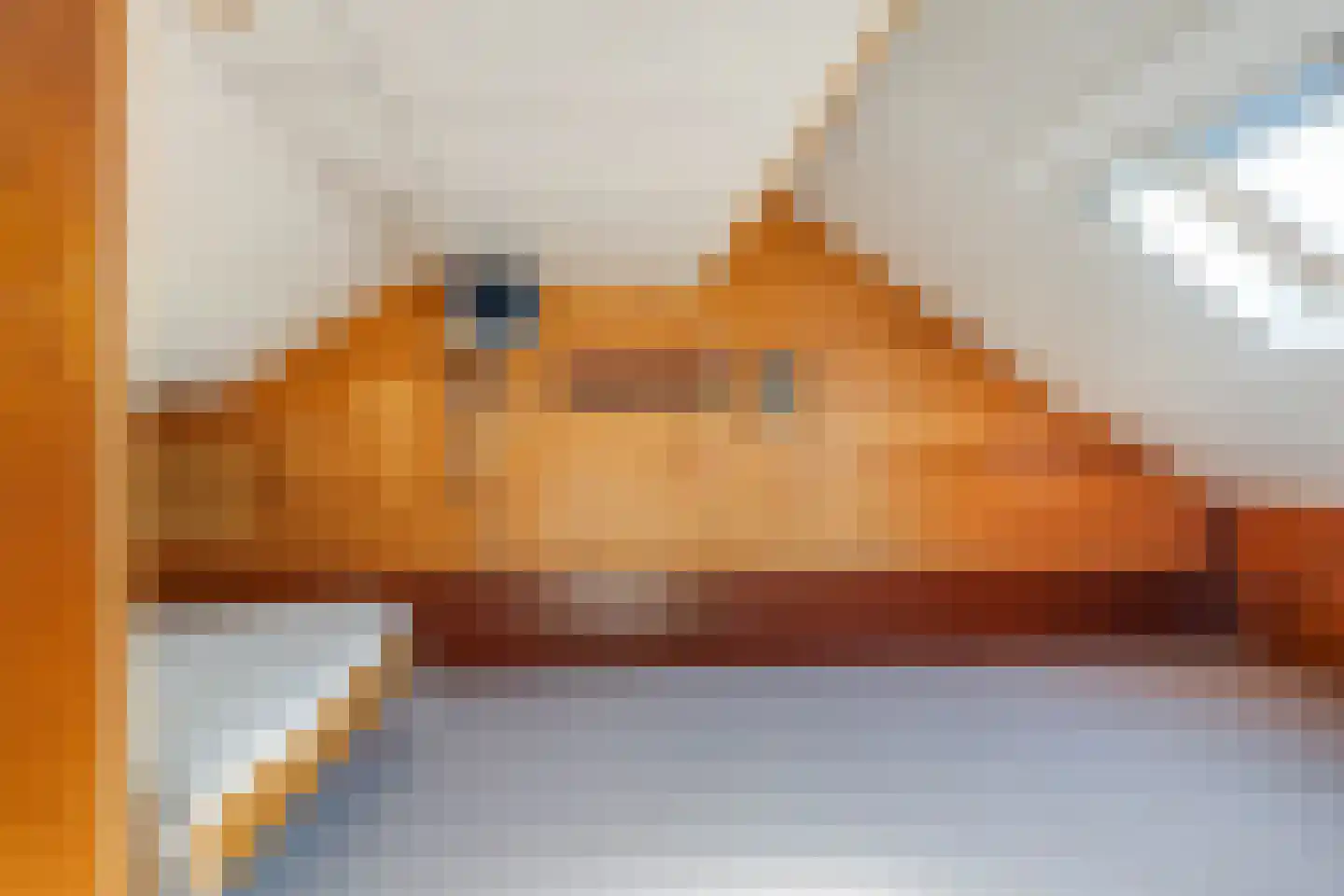 Meerser Koestraat 20 Stein thumbnail 34