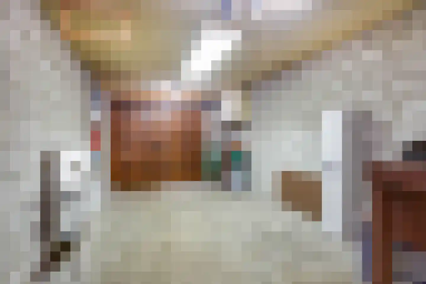Meerser Koestraat 20 Stein thumbnail 39