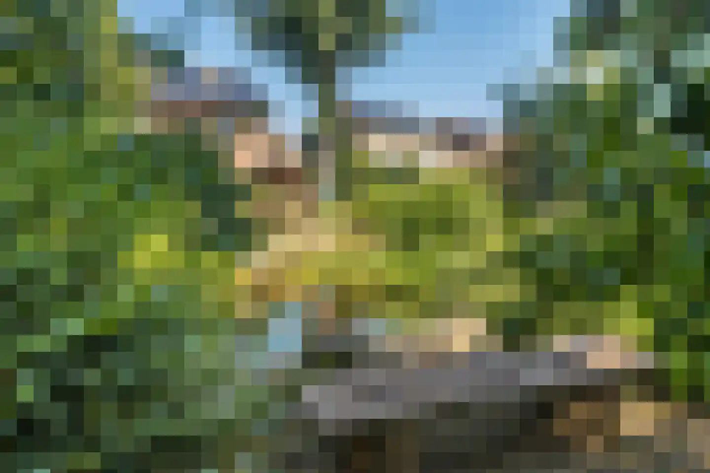 Meerser Koestraat 20 Stein thumbnail 4