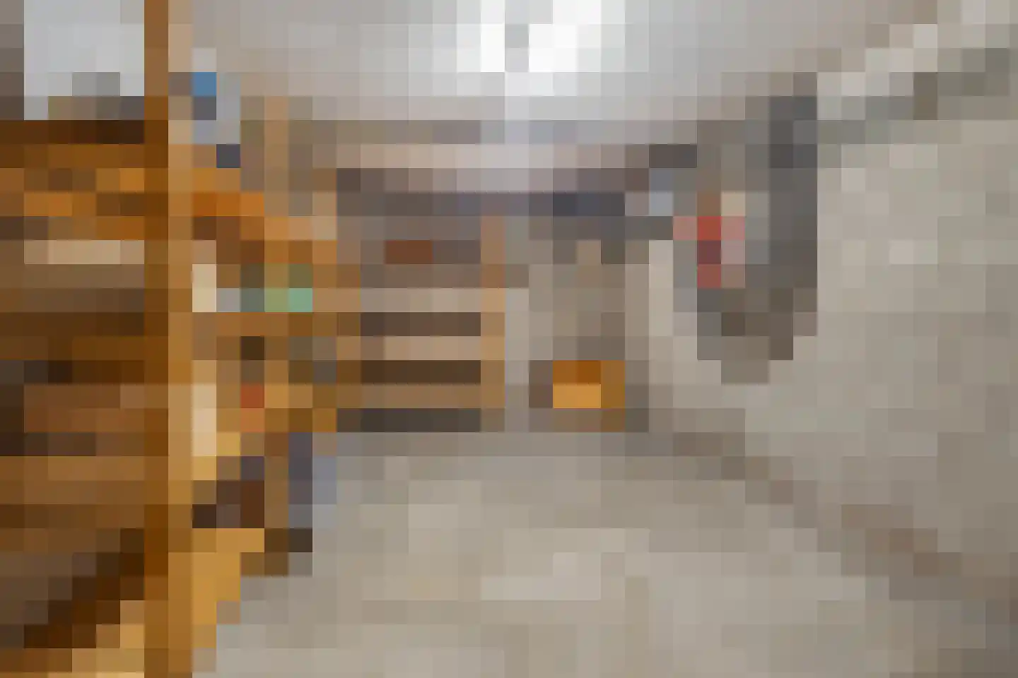 Meerser Koestraat 20 Stein thumbnail 40