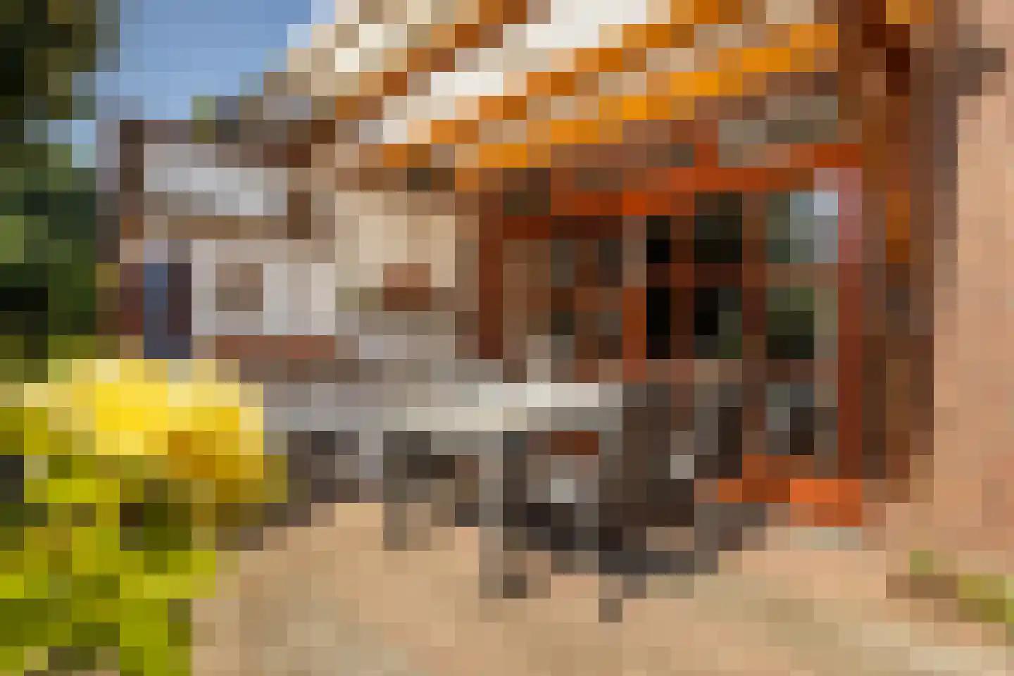 Meerser Koestraat 20 Stein thumbnail 44