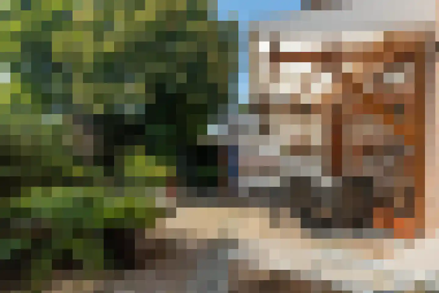 Meerser Koestraat 20 Stein thumbnail 45