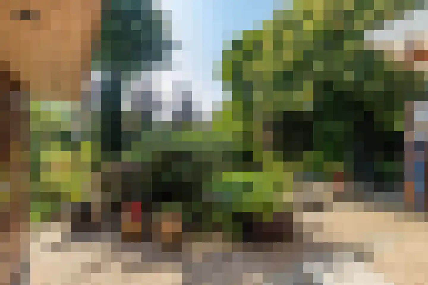 Meerser Koestraat 20 Stein thumbnail 47