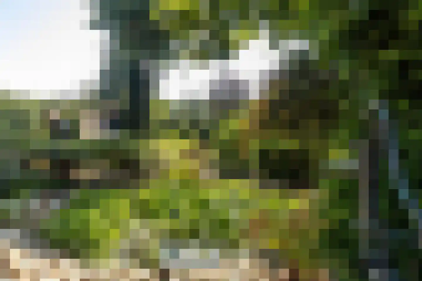 Meerser Koestraat 20 Stein thumbnail 49