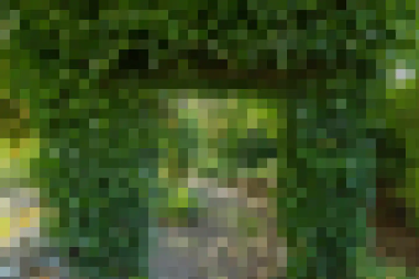 Meerser Koestraat 20 Stein thumbnail 50