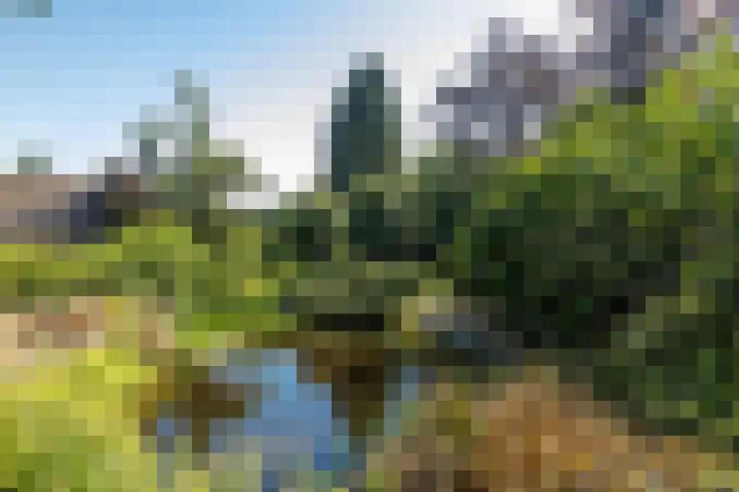 Meerser Koestraat 20 Stein thumbnail 51