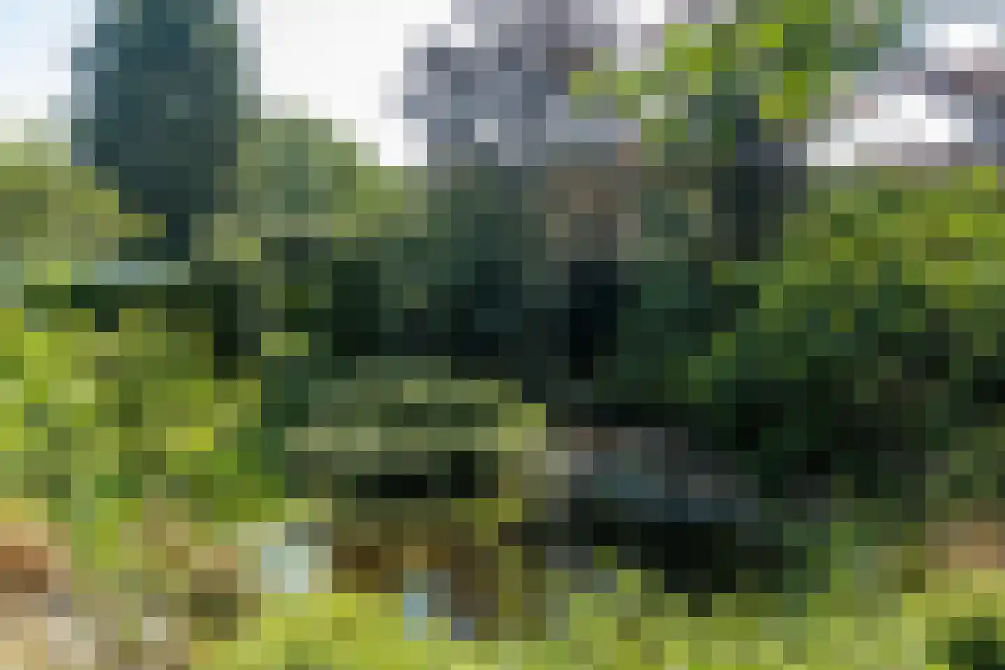 Meerser Koestraat 20 Stein thumbnail 52