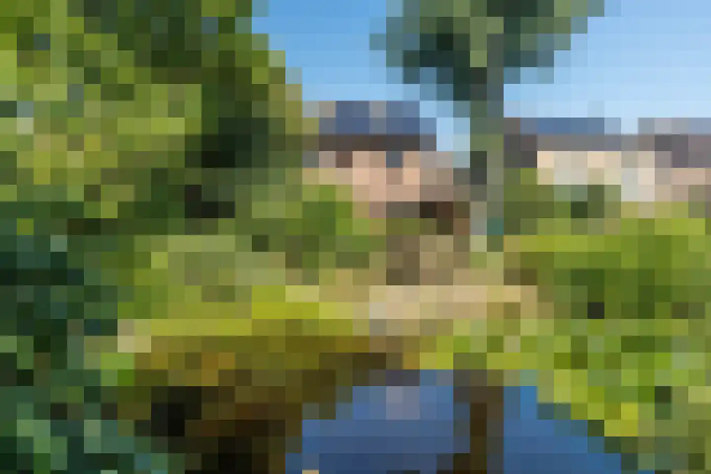 Meerser Koestraat 20 Stein thumbnail 53