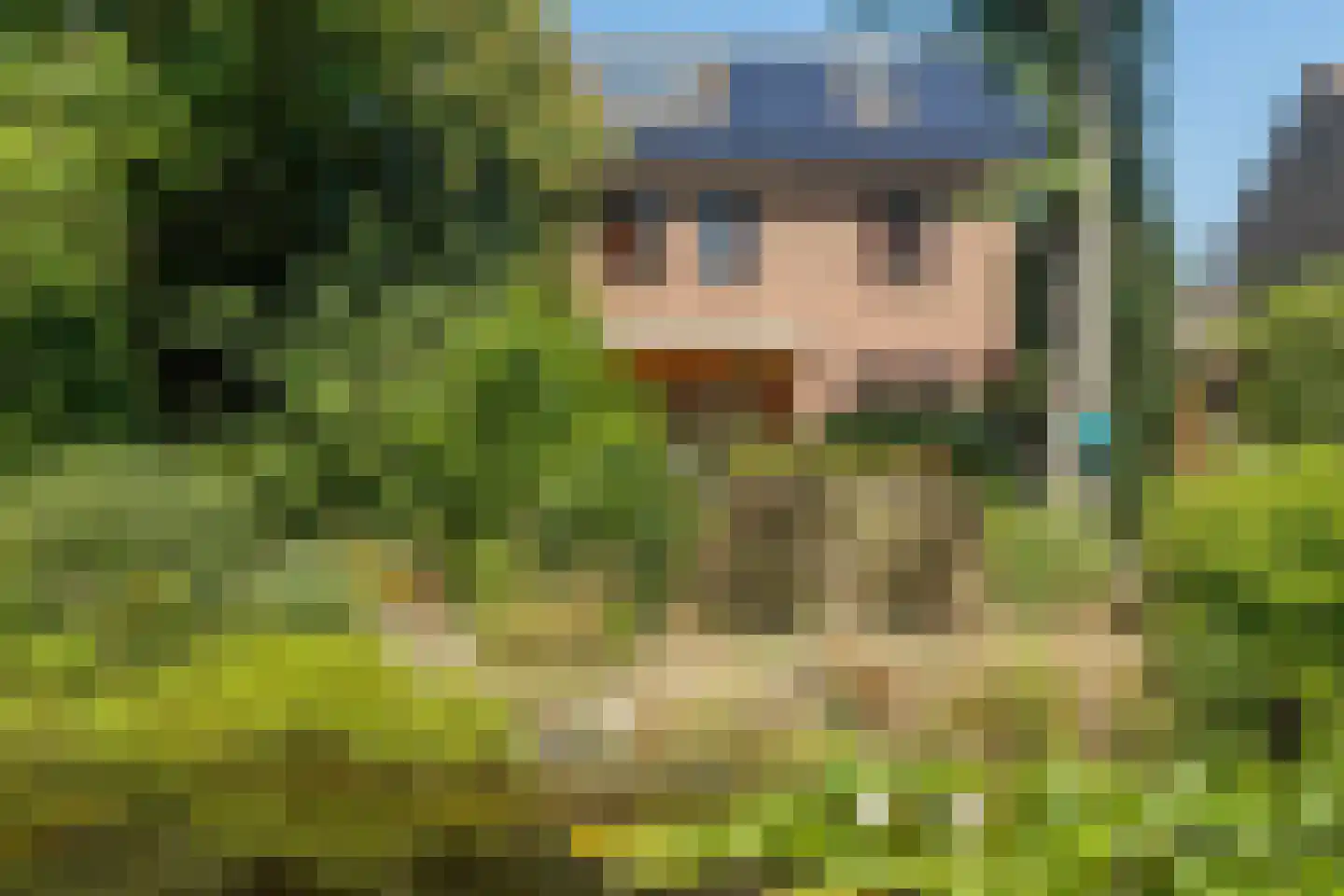 Meerser Koestraat 20 Stein thumbnail 55