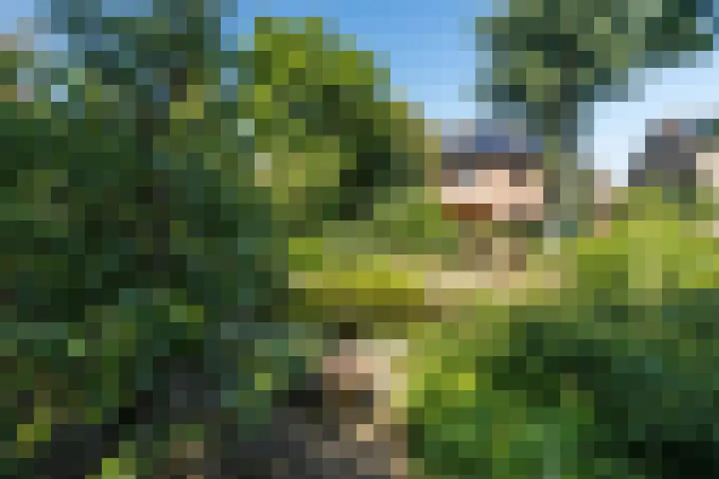 Meerser Koestraat 20 Stein thumbnail 56